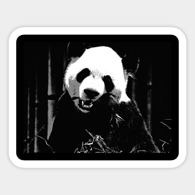 Cute Giant Panda Bear with tasty Bamboo Leaves Sticker by Highseller